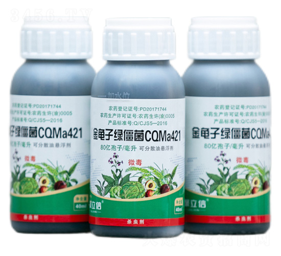������̽���CQMa421��������-����������