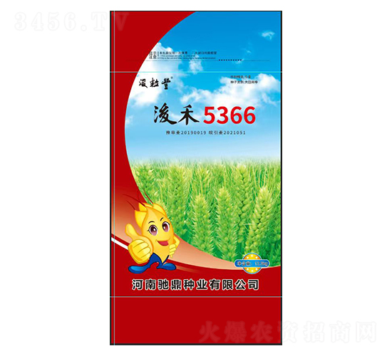 ����5366-С������-�۶���ҵ