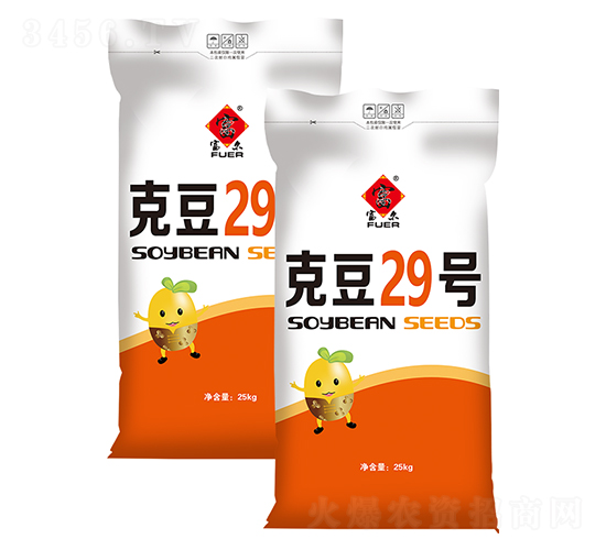 �˶�29��-������-����ũ��