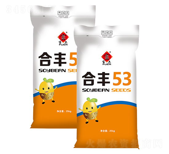 �Ϸ�53-������-����ũ��