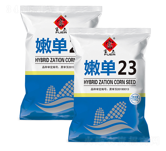 �۵�23-��������-����ũ��