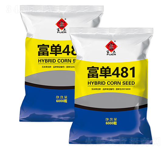 ����481-��������-����ũ��