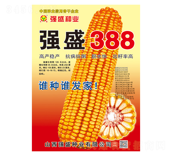 ǿʢ388-��������-ǿʢ��ҵ