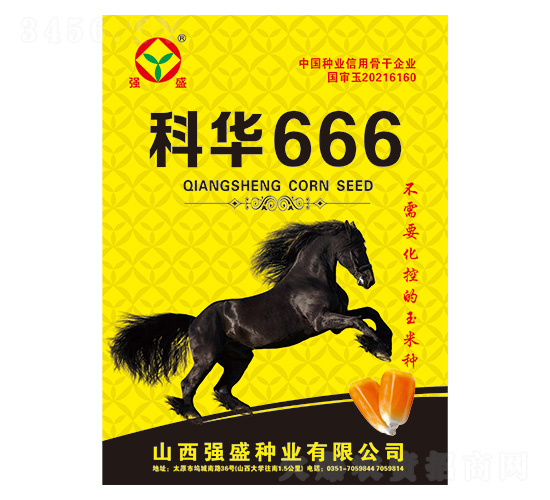 �ƻ�666-��������-ǿʢ��ҵ