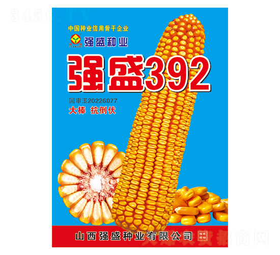 ǿʢ392-��������-ǿʢ��ҵ