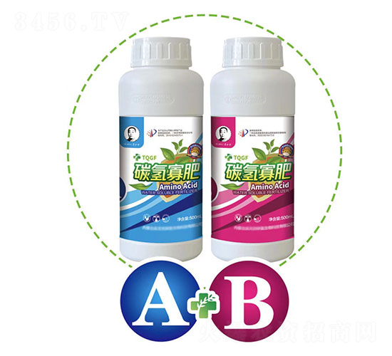̼��ѷ�A+B���Ҷ����ײ�-ʵ����