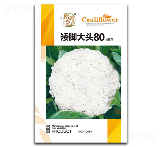 ���Ŵ�ͷ80�ɻ�������-����ũҵ