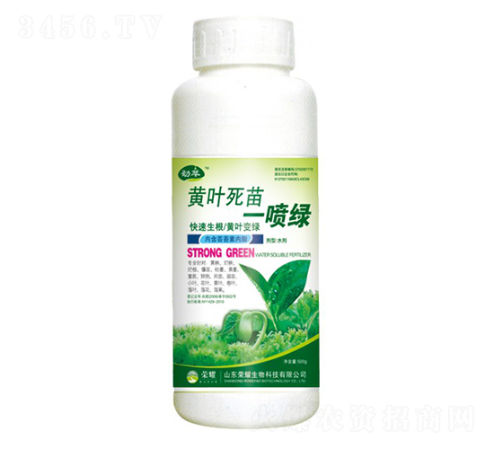 ��Ҷ����һ���̣�500g��-����-��ҫũҵ