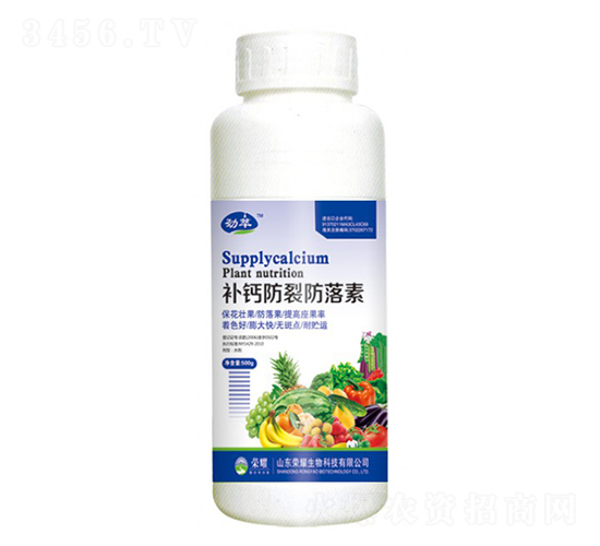 ���Ʒ��ѷ����أ�500g��-����-��ҫũҵ