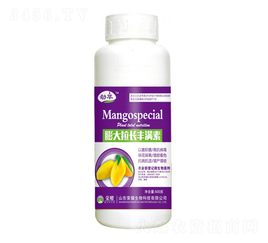 ������������أ�500g��-����-��ҫũҵ