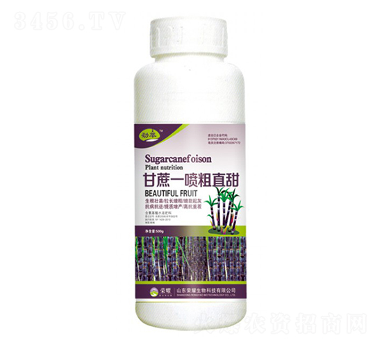 ����һ���ֱ��500g��-����-��ҫũҵ