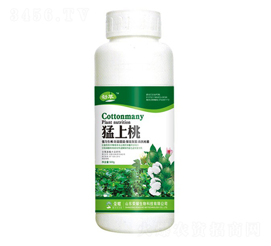 �����ң�500g��-����-��ҫũҵ