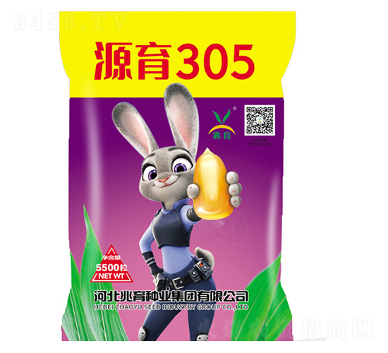 Դ��305-��������-������ҵ