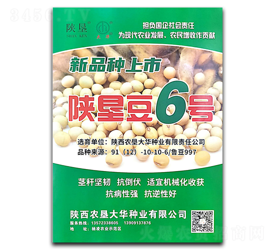 �¿Ѷ�6��-������-�¿Ѵ�