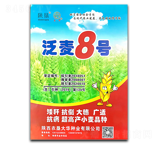 ����8��-С������-�¿Ѵ�