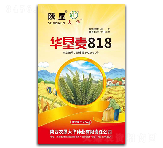 ������818-С������-�¿Ѵ�
