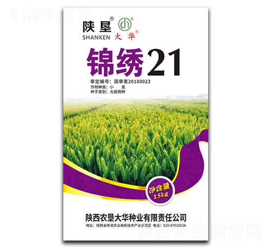 ����21-С������-�¿Ѵ�