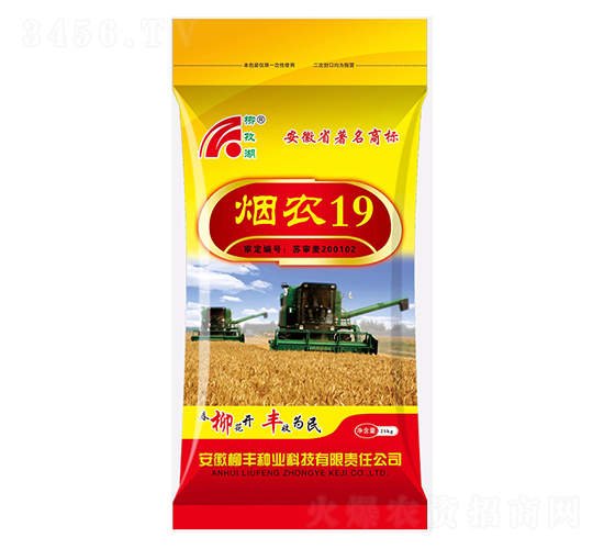 ��ũ19С������-������ҵ