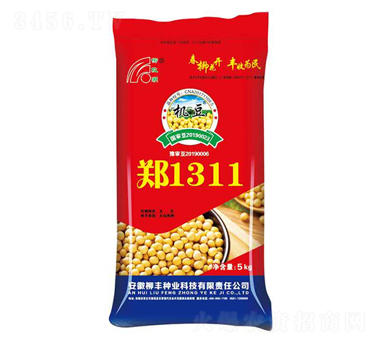 ֣1311-������-������ҵ
