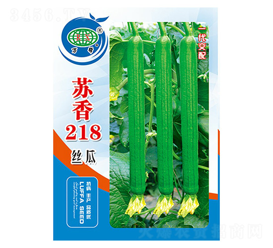����218˿��-�����ҵ