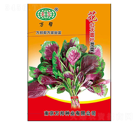 ��ﻨ���ԲҶ�Ȳ�����-�����ҵ