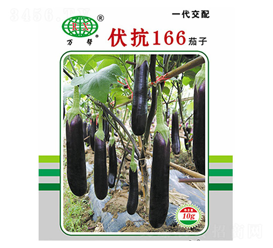����166����-��������-�����ҵ