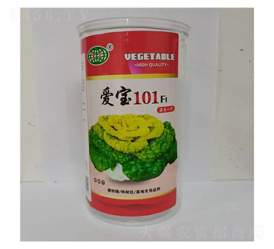 ����101(�ӽ�һ��)����������-�����ҵ