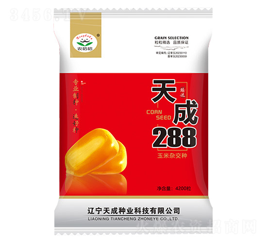 ��������-���288-ũ����-�����ҵ