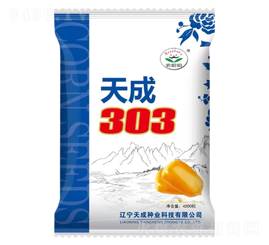 ��������-���303-ũ����-�����ҵ