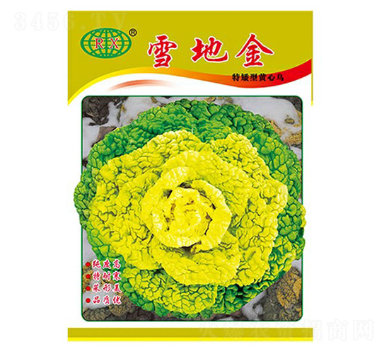 ѩ�ؽ��ذ��ͣ�-����������-�����ҵ