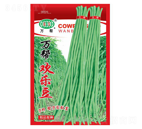 ��ﻶ�ֶ���������-�����ҵ