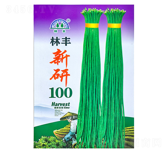 ����100-��������-�������
