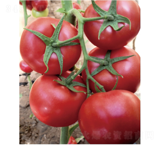 ̩��501-��������-����ũҵ