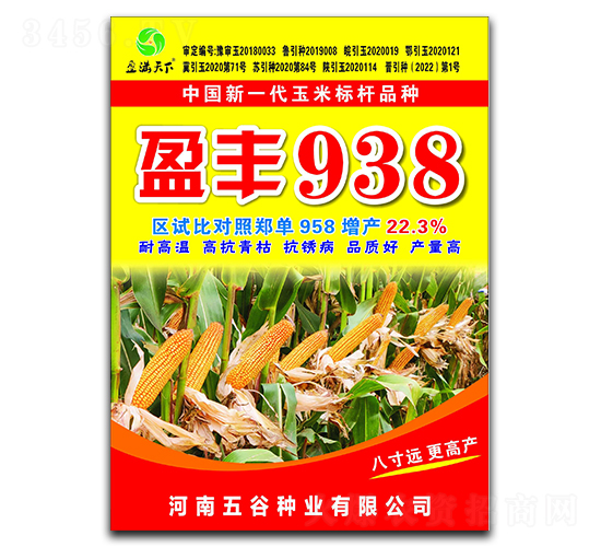 ӯ��938��������-ӯ������-�����ҵ