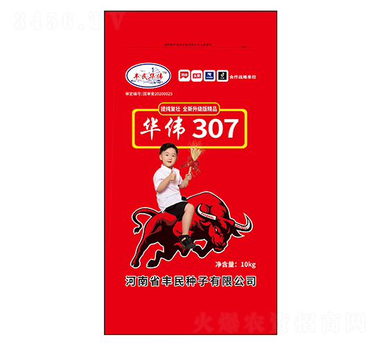 ��ΰ307С������-��������