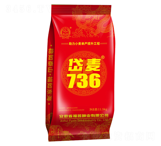 ���736С������-������ҵ
