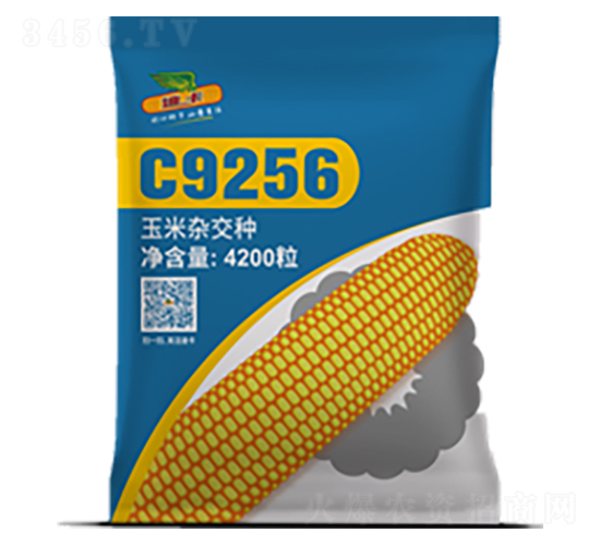 C9256-��������