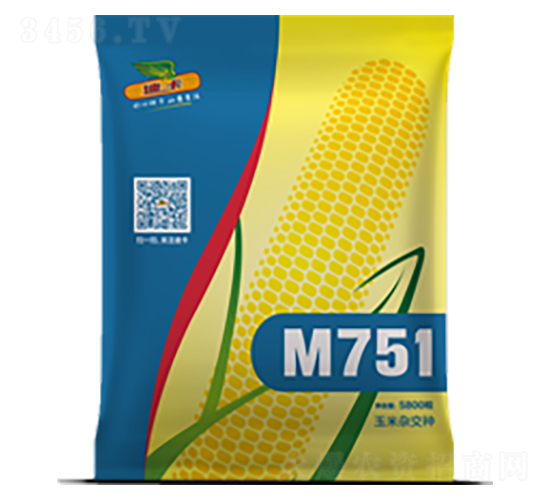 M751-��������