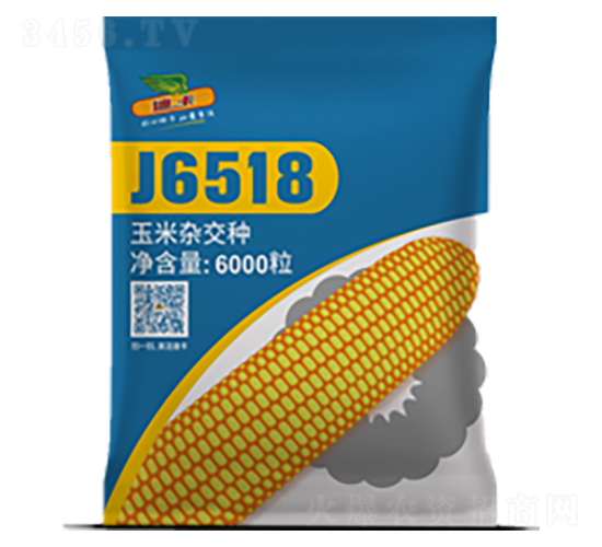 J6518-��������