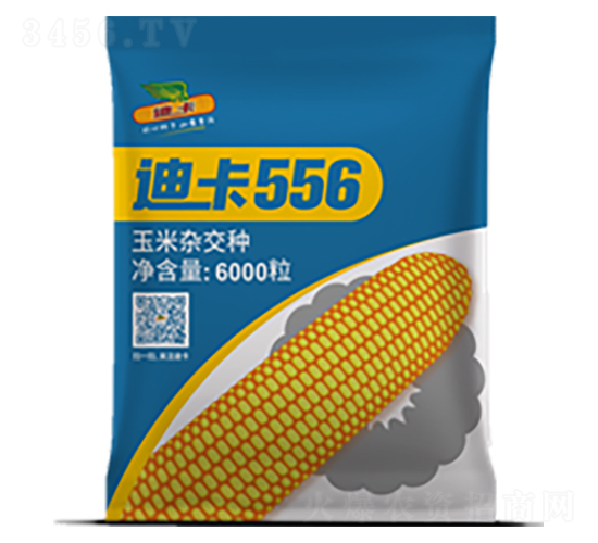 �Ͽ�556-��������