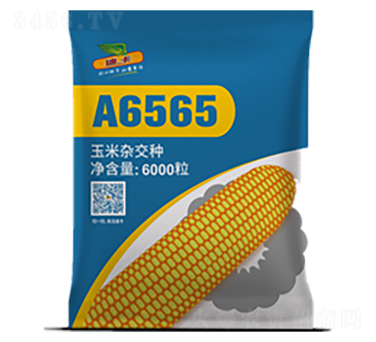 A6565-��������