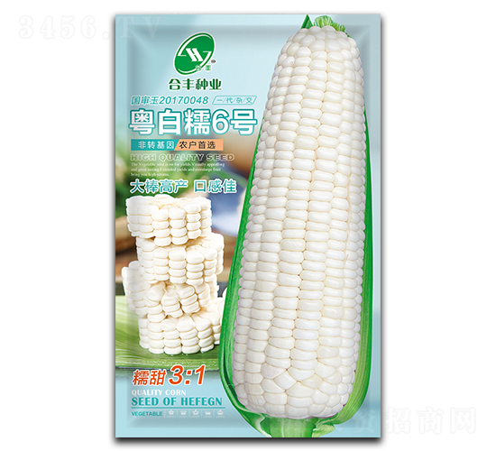 ����Ŵ6��-��������-�Ϸ���ҵ