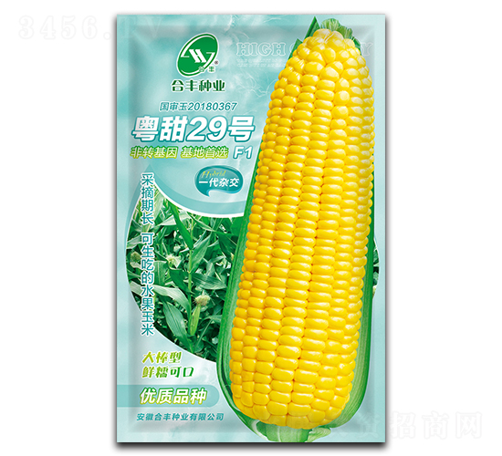 ����29-��������-�Ϸ���ҵ