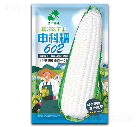 ���Ŵ602-��������-�Ϸ���ҵ