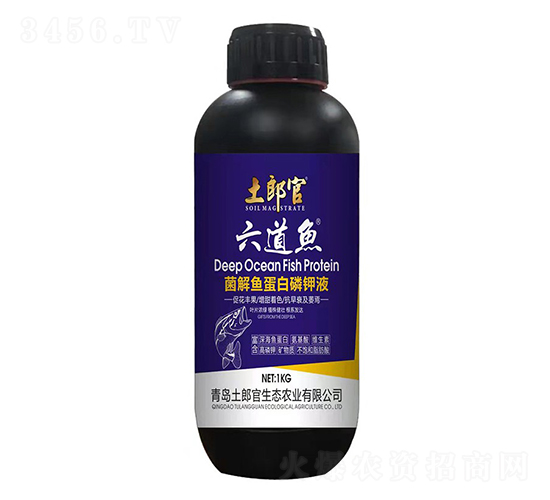 ����������㵰���׼�Һ��1kg��-���ɹ�