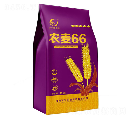 ũ��66-С������-��֮Ʒ