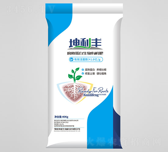 1�ڸ��쵰�������л���-������-��������