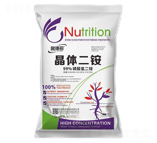 5kg������-³�°�