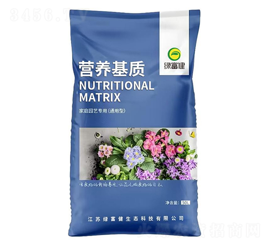 Ӫ������-�̸���