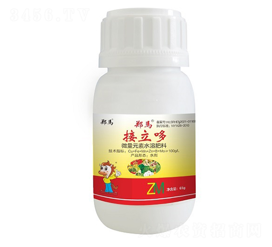 65g֣��������-ǧ����